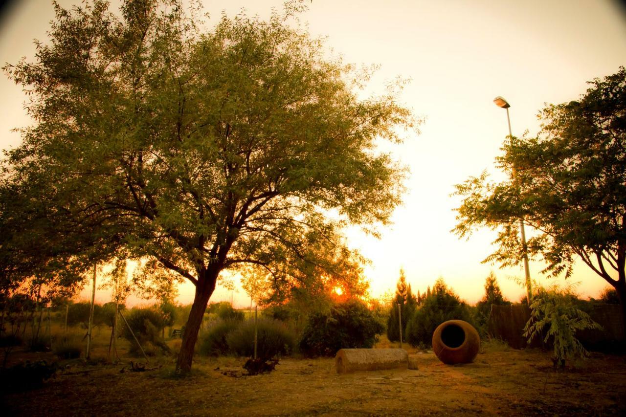 Las Candelas Casas De Los Pinos Exterior foto